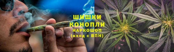 гашик Вязьма