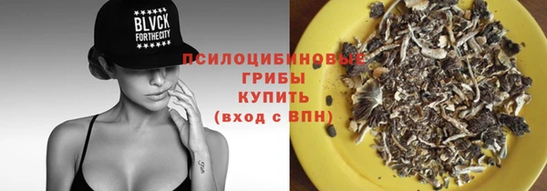 прущие грибы Вяземский