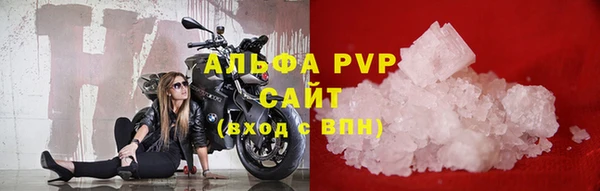 прущие грибы Вяземский
