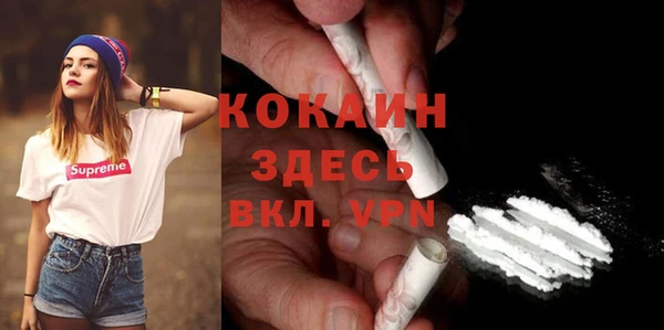 гашик Вязьма