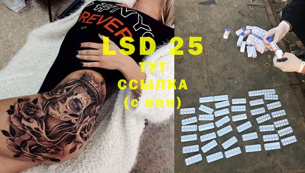 прущие грибы Вяземский