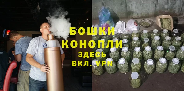 прущие грибы Вяземский