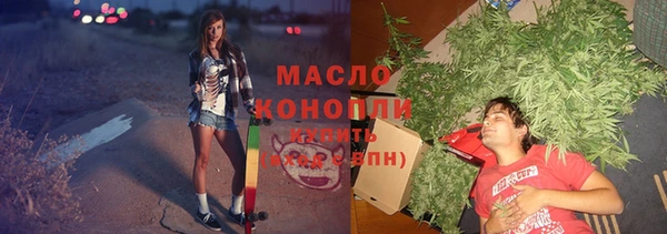 прущие грибы Вяземский
