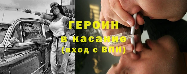 прущие грибы Вяземский