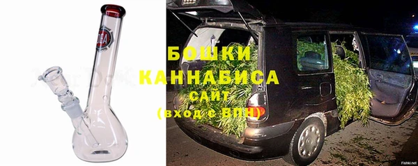прущие грибы Вяземский