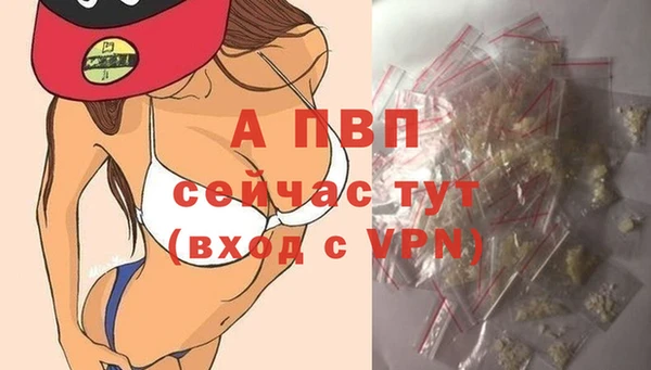 гашик Вязьма