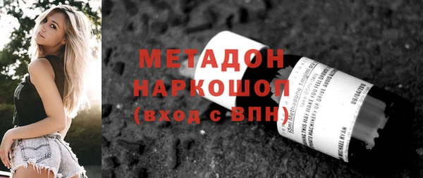 прущие грибы Вяземский