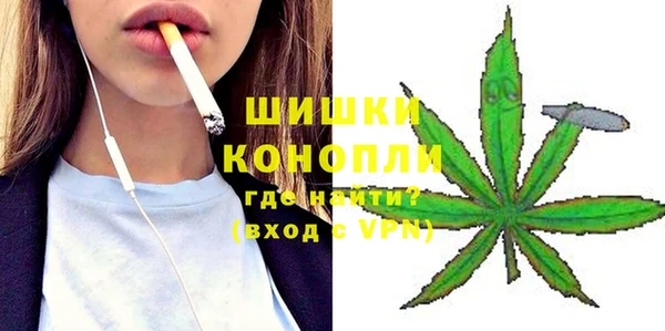 гашик Вязьма