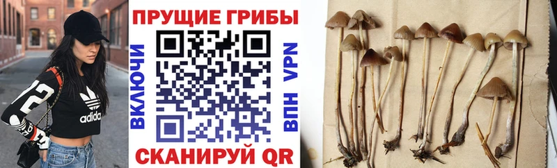 Галлюциногенные грибы мухоморы OMG зеркало Закаменск