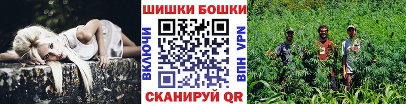 Шишки марихуана сатива  купить закладку  Закаменск 